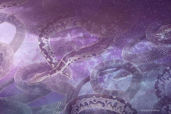 Ngủ nằm mơ thấy giết rắn hay thấy người khác giết rắn đánh con gì và báo điềm gì?