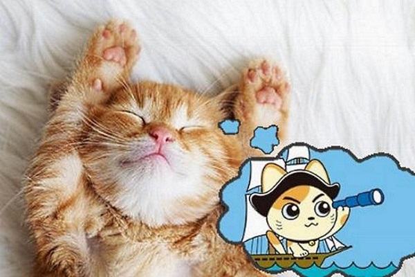 Nằm mơ thấy mèo chết đánh con gì | Giải mã giấc mơ mèo chết báo điềm tốt hay xấu?